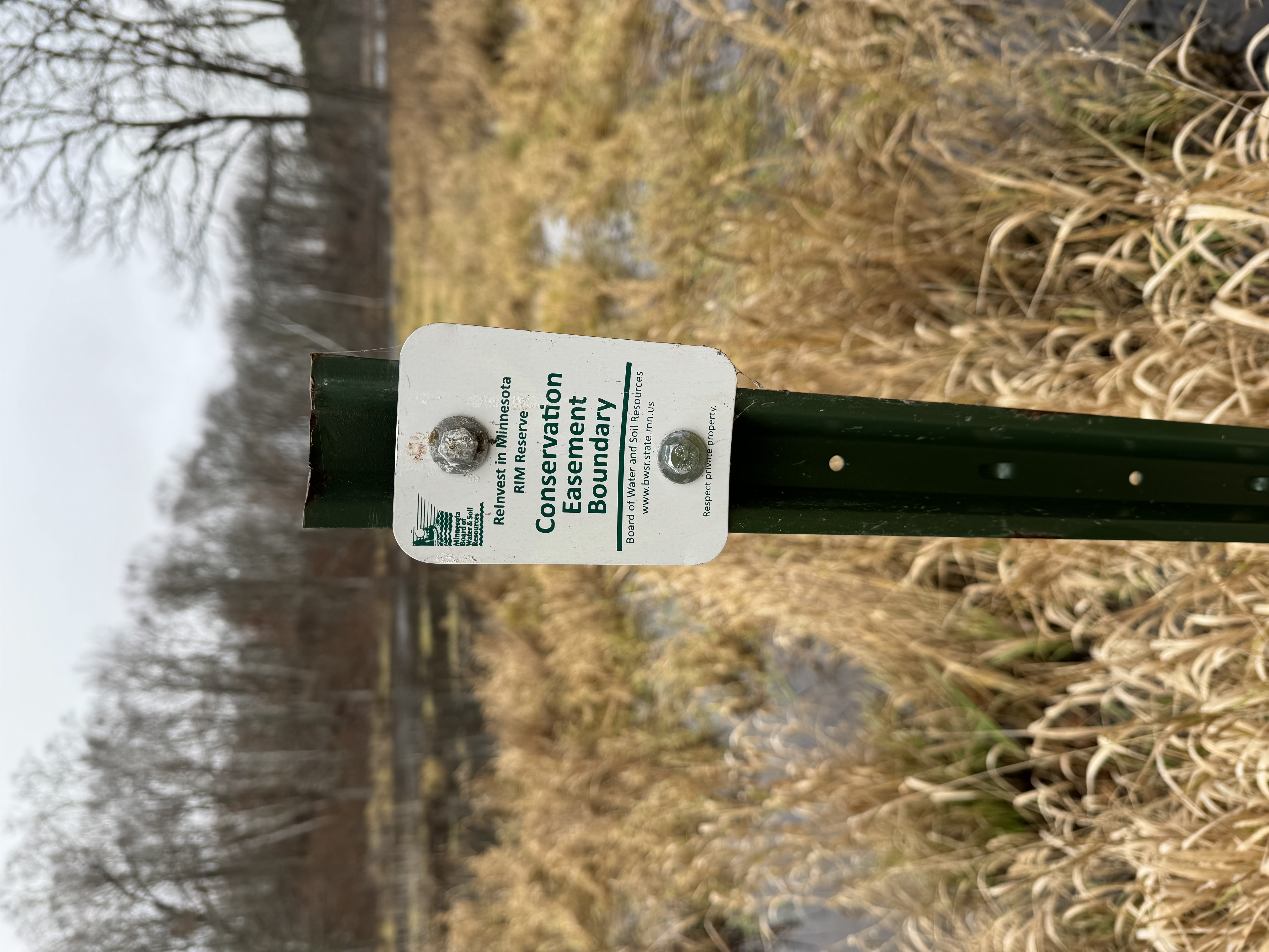 Signage deliniating a conservation easement on a wetland.